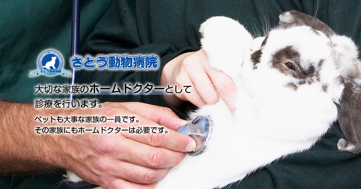 さとう動物病院｜岸和田市土生町の犬・猫・うさぎ・ハムスターの診療